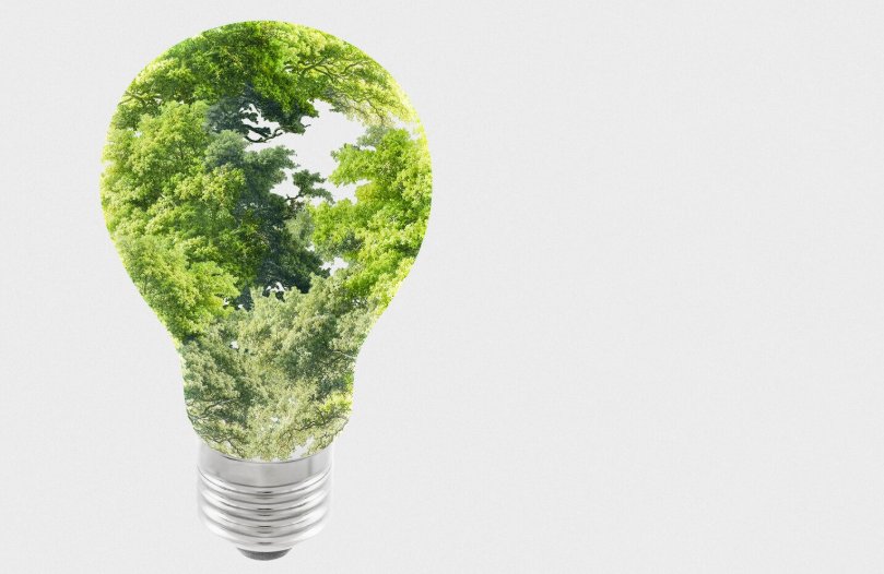 реальна ли зеленая энергетика в России